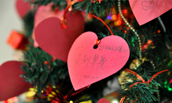 心愿樹散發(fā)溫暖氣息